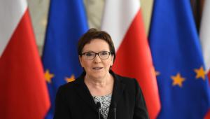 Premier Ewa Kopacz, PAP/Radek Pietruszka