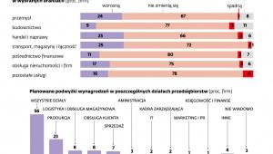 Planowane zmiany wynagrodzeń w branżach