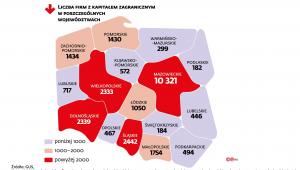 Liczba firm z kapitałem zagranicznym w woj