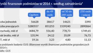 Wyniki finansowe podmiotów w Polsce w 2014 roku według zatrudnienia Infografika Zbigniew Makowski