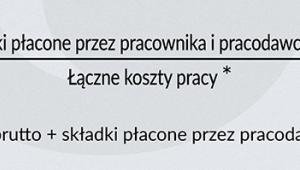 Klin podatkowy - wzór