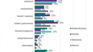 Struktura zatrudnienia migrantów, źródło: NBP