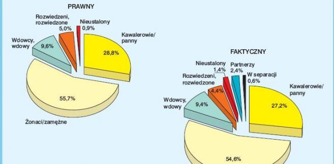Spis Powszechny 2011 - wyniki: ludność Polski, bezrobocie, najciekawsze